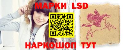 альфа пвп Новодвинск