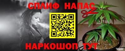 jwh Новозыбков