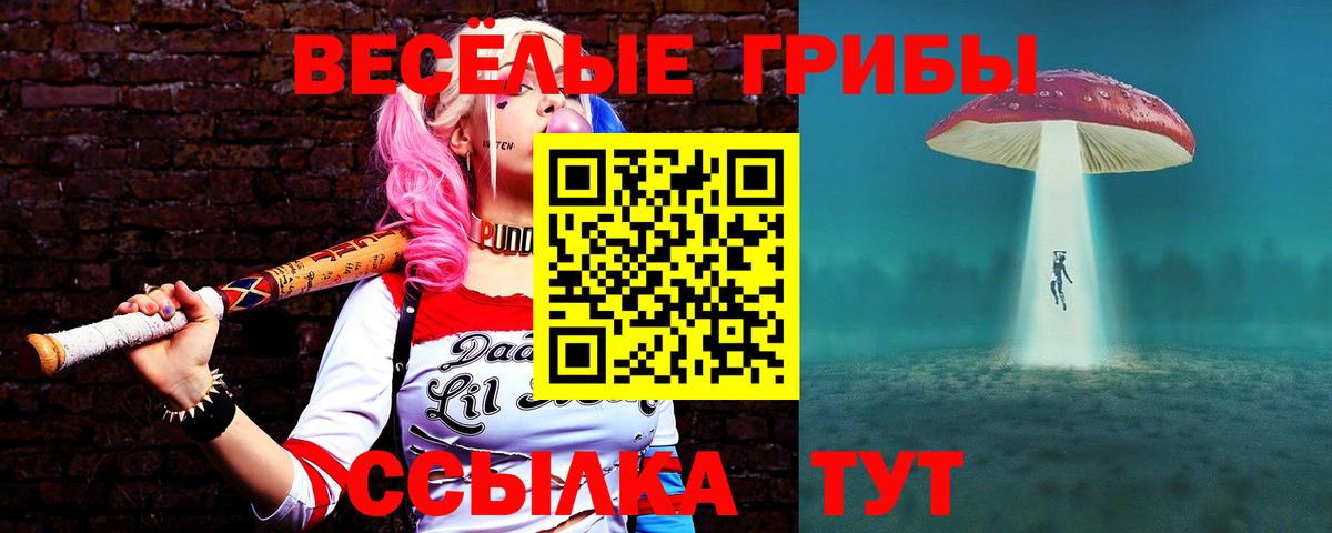 Химки  Галлюциногенные грибы Psilocybe  Псилоцибиновые грибы прущие грибы  Вход с VPN 