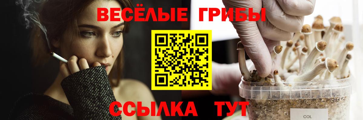 Галлюциногенные грибы мицелий Химки
