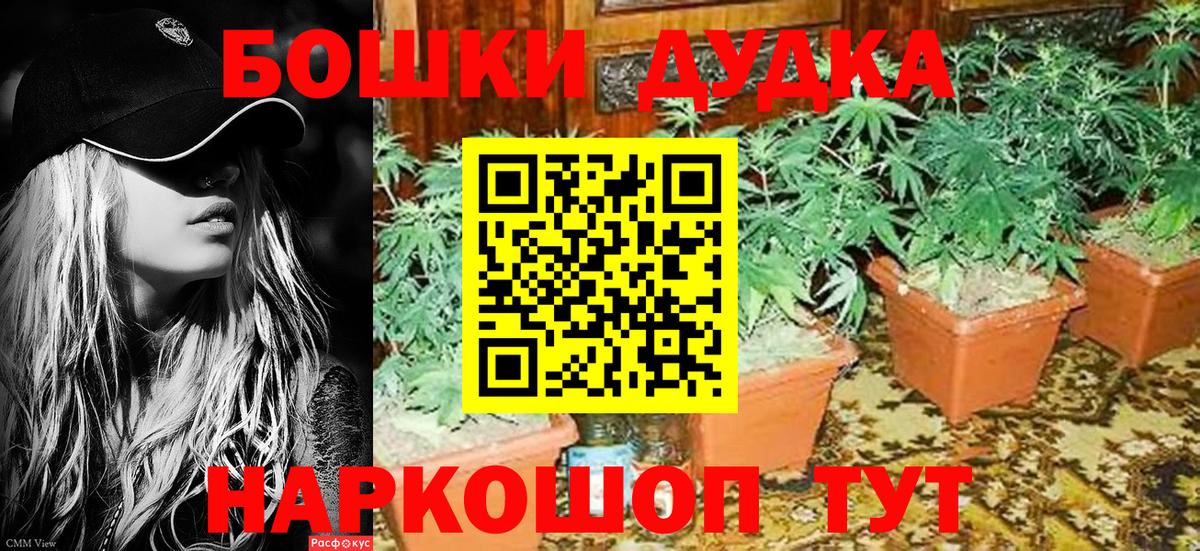 МАРИХУАНА Amnesia  Канабис конопля  Бошки марихуана индика  Шишки марихуана White Widow  Химки  Вход с VPN 